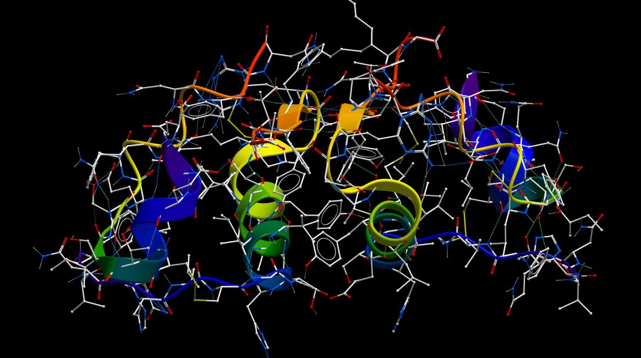 Insulin 3D model