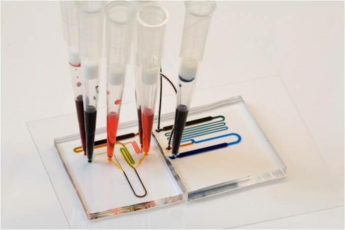 RNA isolation on a microfluidic chip