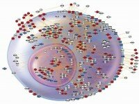 © Calvano et al. Originally published in Nature. 437:1032-37. doi: 10.1038/nature03985