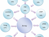 &copy 2011 Xu et al. Originally published in Proceedings of the National Academy of Sciences of the United States of America. 108:3707-12. doi: 10.1073/pnas.1019753108