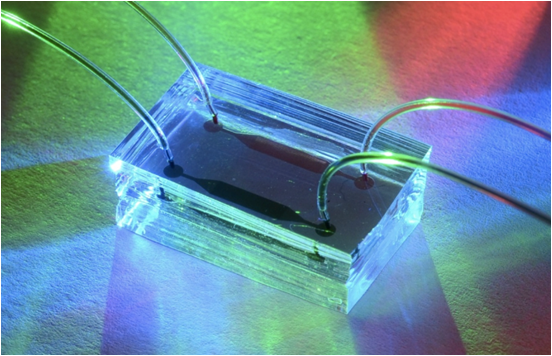 human-on-a-chip