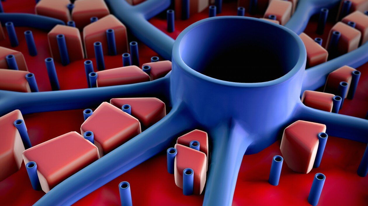 liver_render_crop