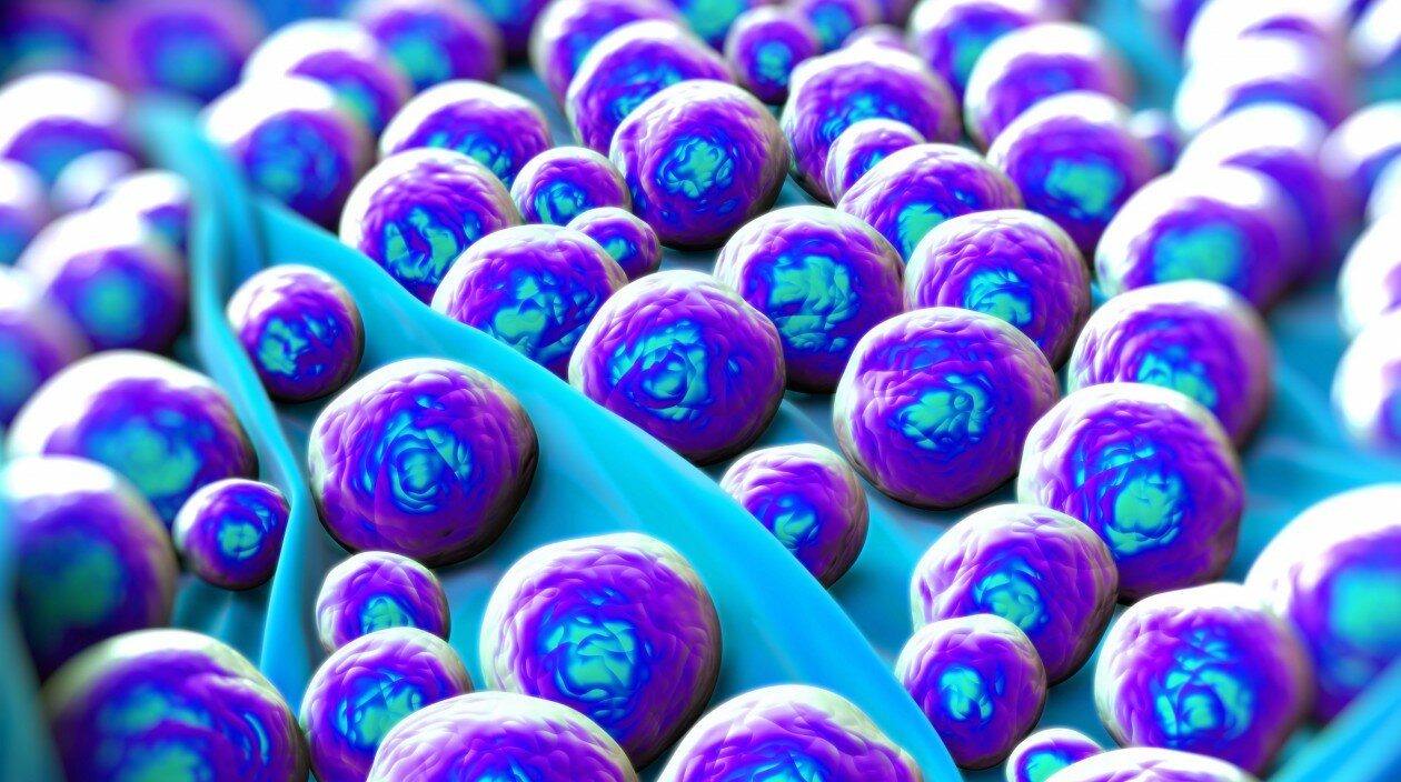 superbug_crop