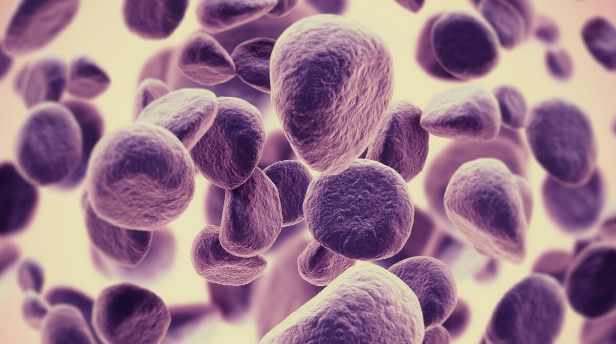 cancercellcrop